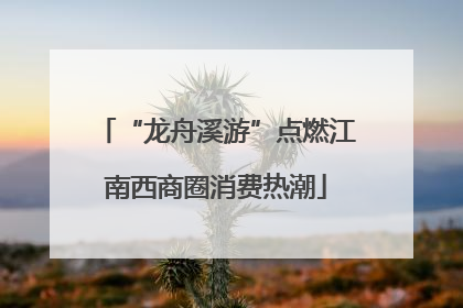 “龙舟溪游”点燃江南西商圈消费热潮