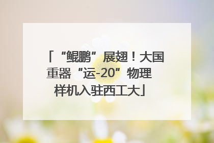 “鲲鹏”展翅！大国重器“运-20”物理样机入驻西工大