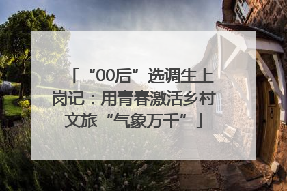 “00后”选调生上岗记：用青春激活乡村文旅“气象万千”