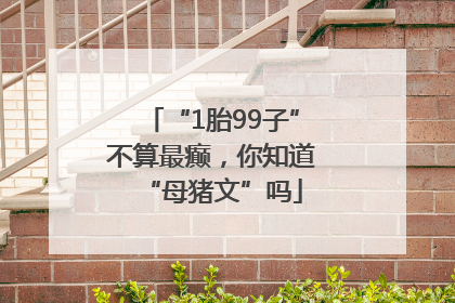 “1胎99子”不算最癫，你知道“母猪文”吗