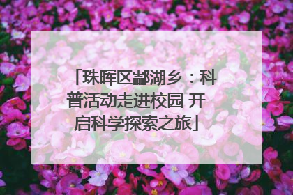 珠晖区酃湖乡：科普活动走进校园 开启科学探索之旅