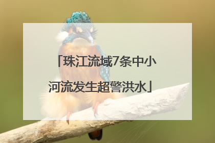 珠江流域7条中小河流发生超警洪水