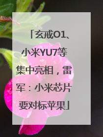 玄戒O1、小米YU7等集中亮相，雷军：小米芯片要对标苹果