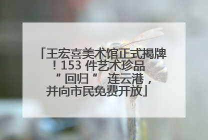 王宏喜美术馆正式揭牌！153 件艺术珍品 “ 回归 ” 连云港，并向市民免费开放