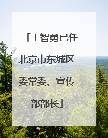 王智勇已任北京市东城区委常委、宣传部部长