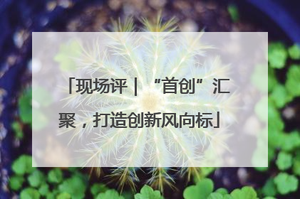 现场评｜“首创”汇聚，打造创新风向标