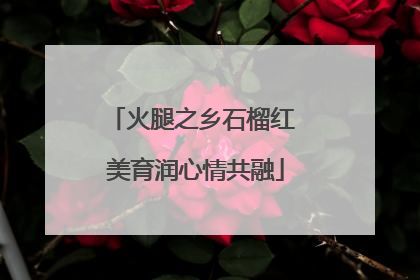 火腿之乡石榴红 美育润心情共融