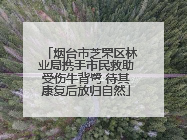 烟台市芝罘区林业局携手市民救助受伤牛背鹭 待其康复后放归自然