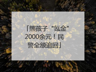 熊孩子“氪金”2000余元！民警全额追回