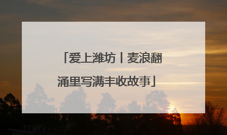 爱上潍坊丨麦浪翻涌里写满丰收故事