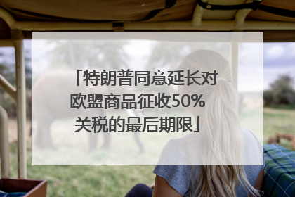 特朗普同意延长对欧盟商品征收50%关税的最后期限