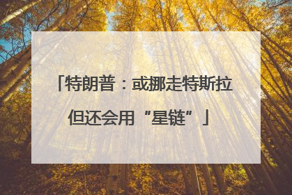 特朗普：或挪走特斯拉 但还会用“星链”