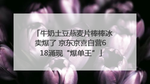 牛奶土豆燕麦片棒棒冰卖爆了 京东京喜自营618涌现“爆单王”