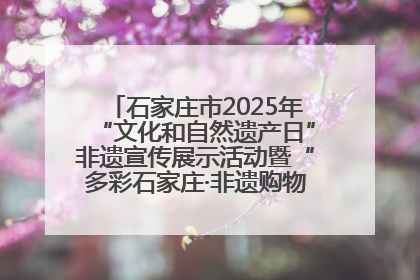 石家庄市2025年“文化和自然遗产日”非遗宣传展示活动暨“多彩石家庄·非遗购物节”倒计时1天