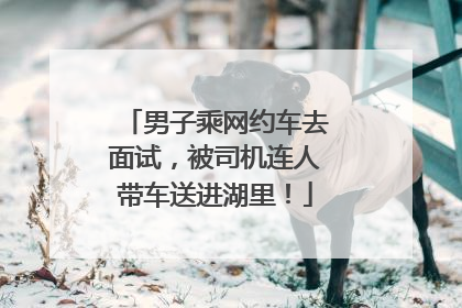 男子乘网约车去面试，被司机连人带车送进湖里！