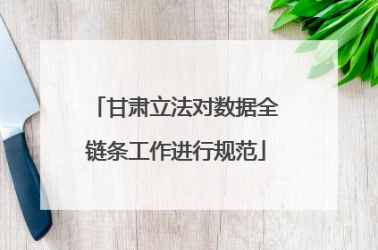 甘肃立法对数据全链条工作进行规范