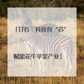 甘谷：科技育“芯”赋能花牛苹果产业