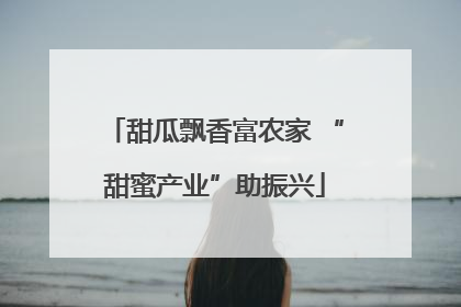 甜瓜飘香富农家 “甜蜜产业”助振兴