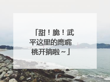 甜！脆！武平这里的鹰嘴桃开摘啦～