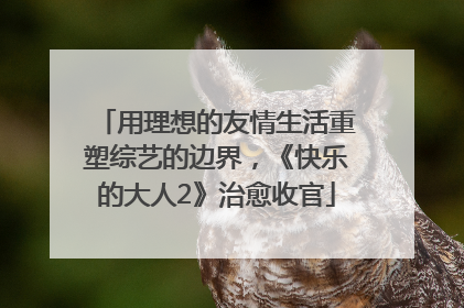 用理想的友情生活重塑综艺的边界，《快乐的大人2》治愈收官