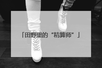 田野里的“精算师”