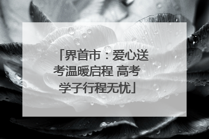 界首市：爱心送考温暖启程 高考学子行程无忧