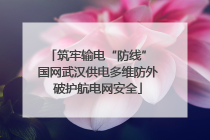 筑牢输电“防线” 国网武汉供电多维防外破护航电网安全
