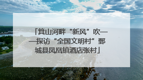 箕山河畔“新风”吹——探访“全国文明村”鄄城县凤凰镇酒店张村