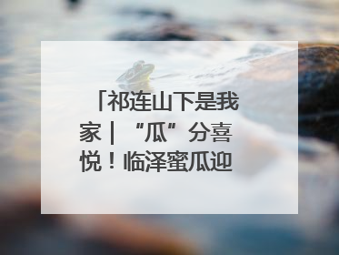 祁连山下是我家｜“瓜”分喜悦！临泽蜜瓜迎来丰收季