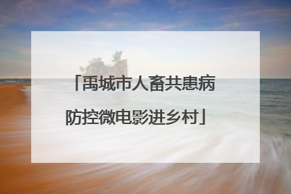 禹城市人畜共患病防控微电影进乡村
