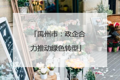 禹州市：政企合力推动绿色转型