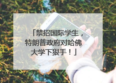禁招国际学生，特朗普政府对哈佛大学下狠手！