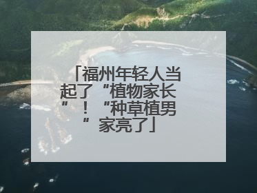 福州年轻人当起了“植物家长”！“种草植男”家亮了