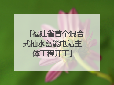 福建省首个混合式抽水蓄能电站主体工程开工