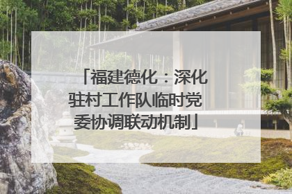 福建德化：深化驻村工作队临时党委协调联动机制