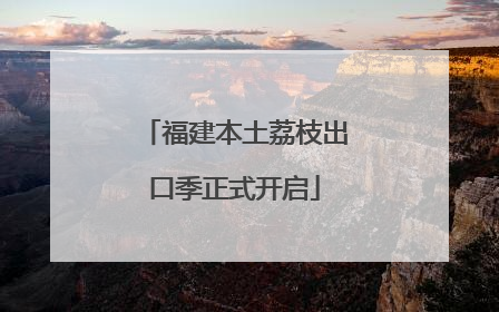 福建本土荔枝出口季正式开启