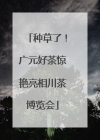 种草了！广元好茶惊艳亮相川茶博览会