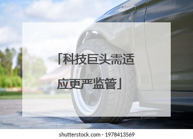 科技巨头需适应更严监管
