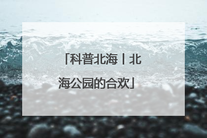 科普北海丨北海公园的合欢