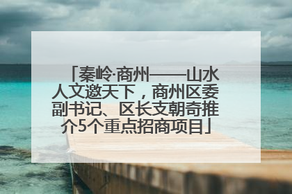 秦岭·商州——山水人文邀天下，商州区委副书记、区长支朝奇推介5个重点招商项目