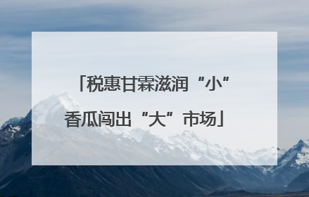 税惠甘霖滋润“小”香瓜闯出“大”市场