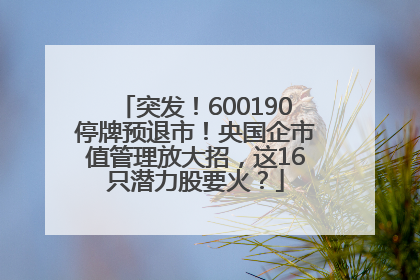 突发！600190停牌预退市！央国企市值管理放大招，这16只潜力股要火？