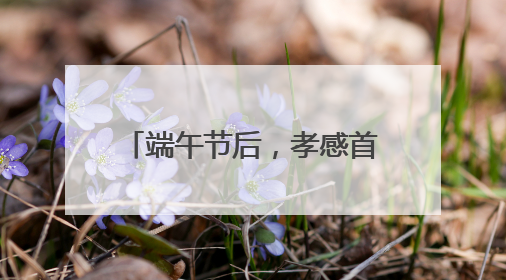 端午节后，孝感首衡城“榴莲热”持续发酵，消费者迎来“甜蜜”囤货期