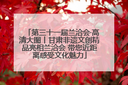 第三十一届兰洽会·高清大图丨甘肃非遗文创精品亮相兰洽会 带您近距离感受文化魅力