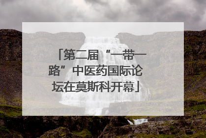 第二届“一带一路”中医药国际论坛在莫斯科开幕