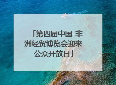 第四届中国-非洲经贸博览会迎来公众开放日