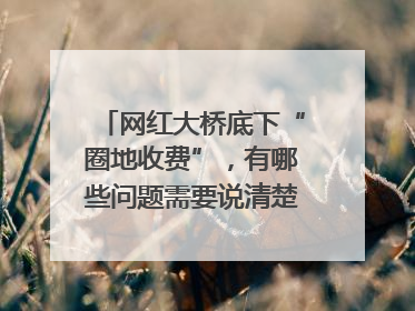 网红大桥底下“圈地收费”，有哪些问题需要说清楚｜新京报快评