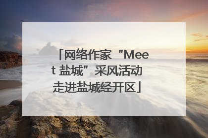 网络作家“Meet 盐城”采风活动走进盐城经开区