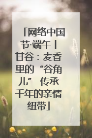 网络中国节·端午丨甘谷：麦香里的“谷角儿” 传承千年的亲情纽带