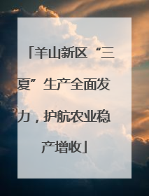 羊山新区“三夏”生产全面发力，护航农业稳产增收